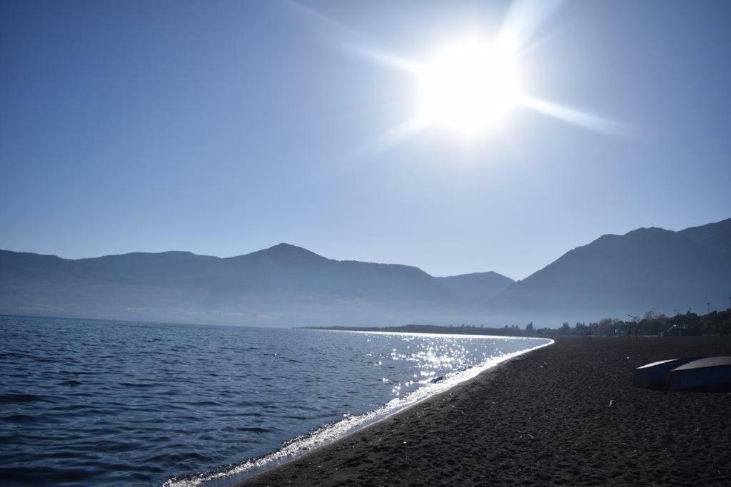 Parque Del Volcan Pucón